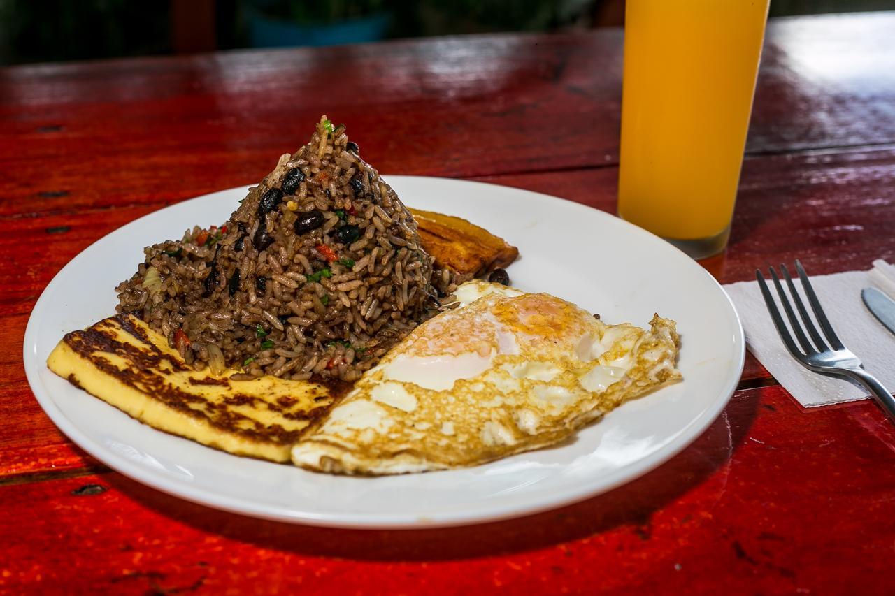 Arenal Container Hostel La Fortuna Luaran gambar