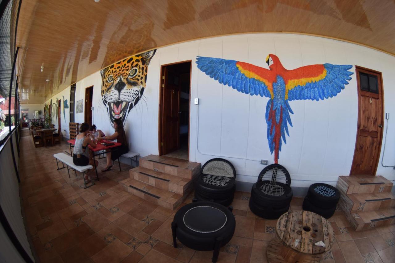 Arenal Container Hostel La Fortuna Luaran gambar