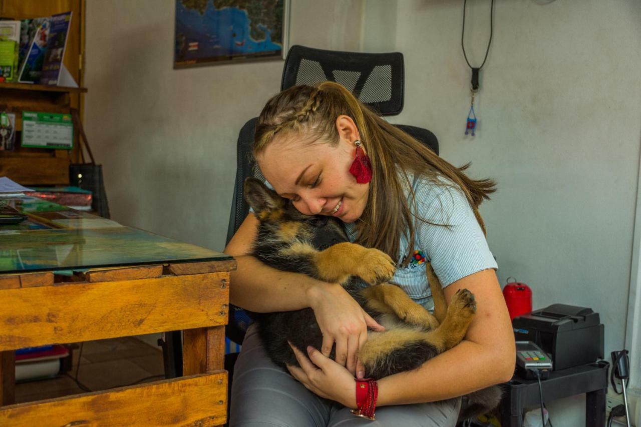 Arenal Container Hostel La Fortuna Luaran gambar